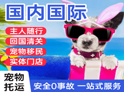 北戴河航空货运国际宠物托运 【国